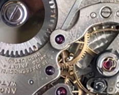 Angelus 255 - View 5