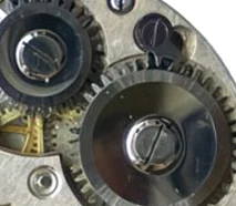 AS 313 - View 3