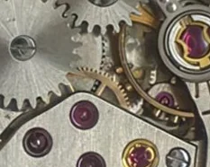 Doxa 41 - View 4